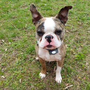 Meet your Posher, Brendan